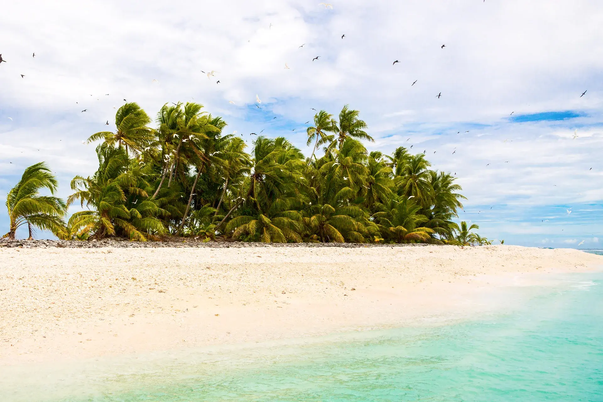 View Tuvalu State Explorer